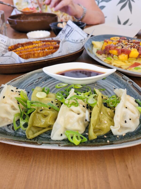 DÚO DE GYOZAS